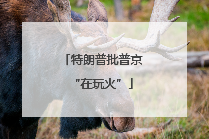 特朗普批普京“在玩火”
