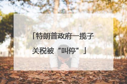 特朗普政府一揽子关税被“叫停”