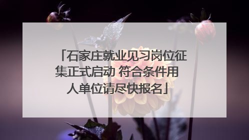 石家庄就业见习岗位征集正式启动 符合条件用人单位请尽快报名