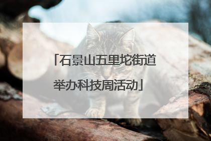 石景山五里坨街道举办科技周活动