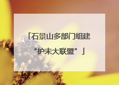 石景山多部门组建“护未大联盟”