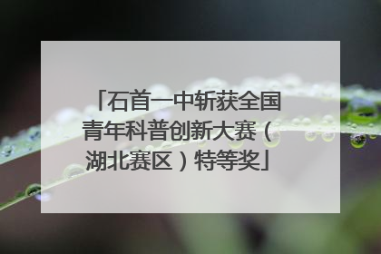 石首一中斩获全国青年科普创新大赛（湖北赛区）特等奖