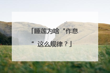 睡莲为啥“作息”这么规律？