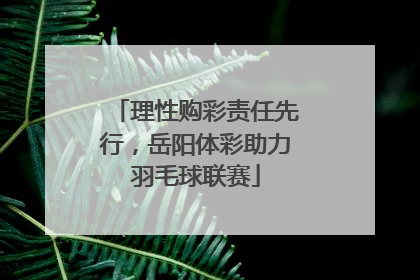 理性购彩责任先行，岳阳体彩助力羽毛球联赛