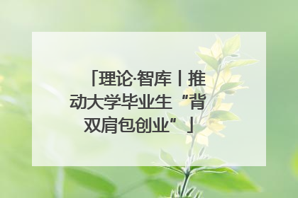 理论·智库丨推动大学毕业生“背双肩包创业”