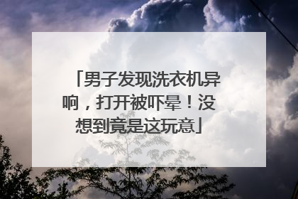 男子发现洗衣机异响，打开被吓晕！没想到竟是这玩意