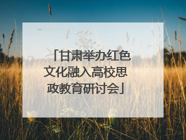甘肃举办红色文化融入高校思政教育研讨会