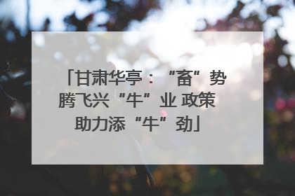 甘肃华亭：“畜”势腾飞兴“牛”业 政策助力添“牛”劲