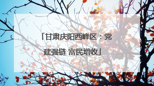 甘肃庆阳西峰区：党建强链 富民增收