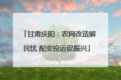甘肃庆阳：农网改造解民忧 配变投运促振兴