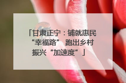 甘肃正宁：铺就惠民“幸福路” 跑出乡村振兴“加速度”
