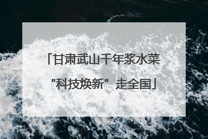甘肃武山千年浆水菜“科技焕新”走全国