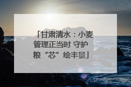 甘肃清水：小麦管理正当时 守护粮“芯”绘丰景