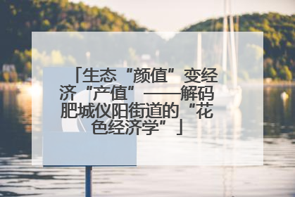生态“颜值”变经济“产值”——解码肥城仪阳街道的“花色经济学”