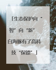 生态保护向“智”向“新” 白海豚有了高科技“保镖”