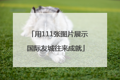 用111张图片展示国际友城往来成就