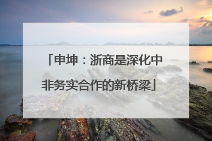 申坤：浙商是深化中非务实合作的新桥梁