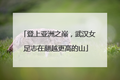 登上亚洲之巅，武汉女足志在翻越更高的山