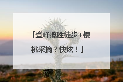 登峰揽胜徒步+樱桃采摘？快炫！