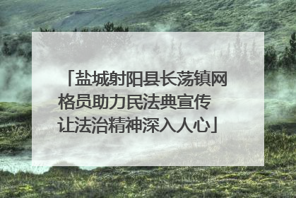 盐城射阳县长荡镇网格员助力民法典宣传 让法治精神深入人心
