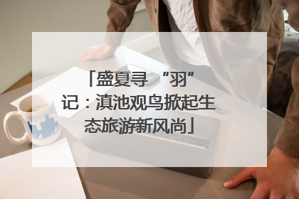 盛夏寻 “羽” 记：滇池观鸟掀起生态旅游新风尚