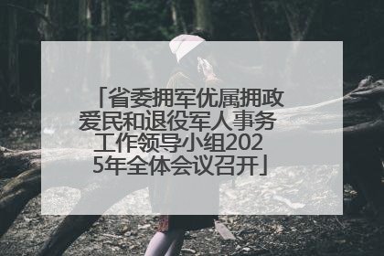 省委拥军优属拥政爱民和退役军人事务工作领导小组2025年全体会议召开
