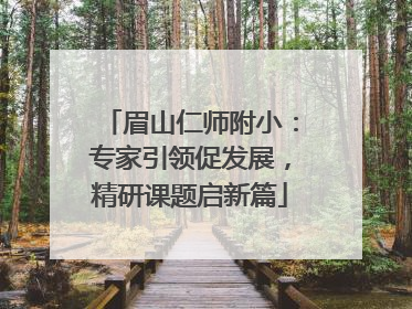 眉山仁师附小：专家引领促发展，精研课题启新篇