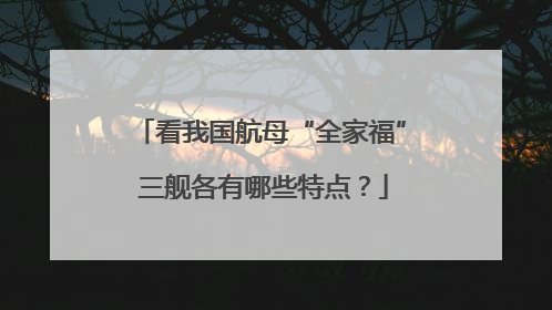 看我国航母“全家福” 三舰各有哪些特点？