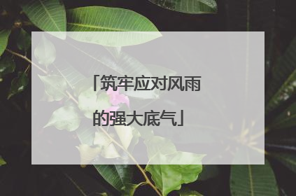 筑牢应对风雨的强大底气