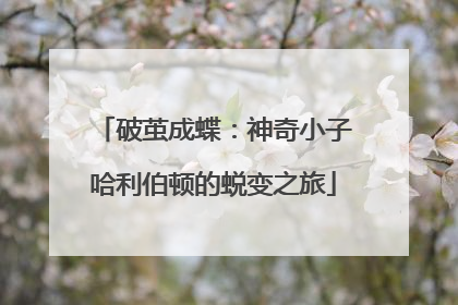破茧成蝶：神奇小子哈利伯顿的蜕变之旅