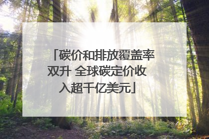 碳价和排放覆盖率双升 全球碳定价收入超千亿美元