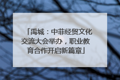禹城：中菲经贸文化交流大会举办，职业教育合作开启新篇章