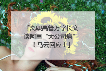 离职高管万字长文谈阿里“大公司病”！马云回应！