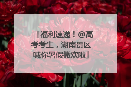 福利速递！@高考考生，湖南景区喊你暑假撒欢啦