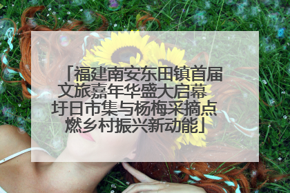 福建南安东田镇首届文旅嘉年华盛大启幕 圩日市集与杨梅采摘点燃乡村振兴新动能