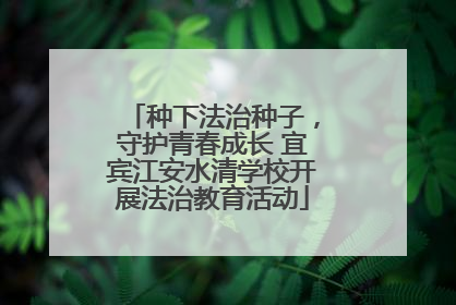种下法治种子，守护青春成长 宜宾江安水清学校开展法治教育活动