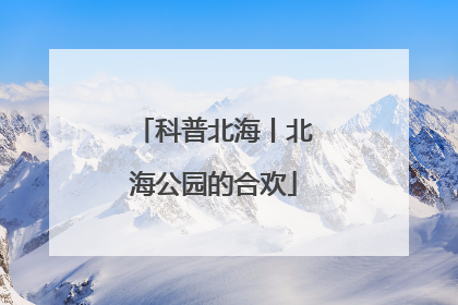 科普北海丨北海公园的合欢