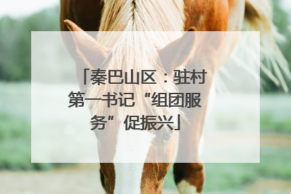 秦巴山区：驻村第一书记“组团服务”促振兴