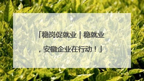 稳岗促就业｜稳就业，安徽企业在行动！