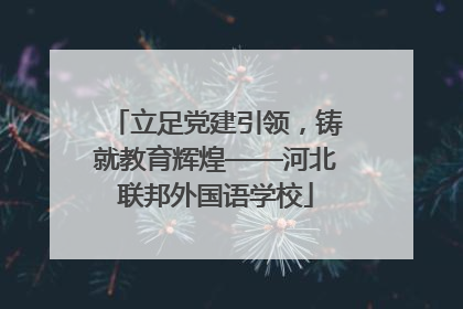 立足党建引领，铸就教育辉煌——河北联邦外国语学校