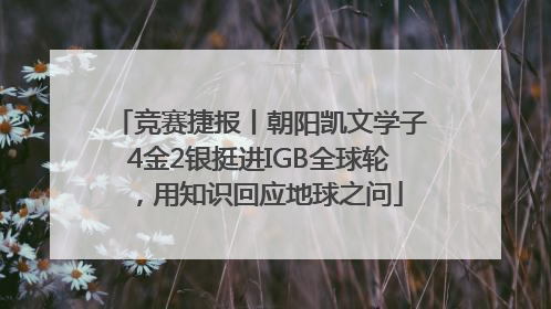 竞赛捷报丨朝阳凯文学子4金2银挺进IGB全球轮，用知识回应地球之问