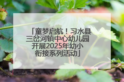 童梦启航！习水县三岔河镇中心幼儿园开展2025年幼小衔接系列活动