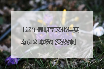 端午假期享文化佳宴 南京文博场馆受热捧