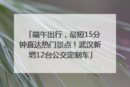 端午出行，最短15分钟直达热门景点！武汉新增12台公交定制车