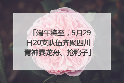 端午将至，5月29日20支队伍齐聚四川青神赛龙舟、抢鸭子
