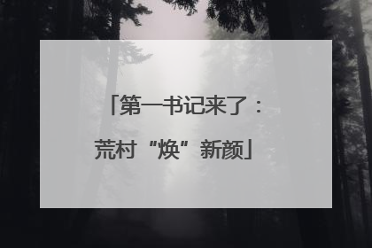 第一书记来了：荒村“焕”新颜
