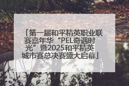 第一届和平精英职业联赛嘉年华“PEL奇遇时光”暨2025和平精英城市赛总决赛盛大启幕
