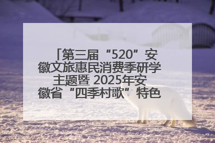 第三届“520”安徽文旅惠民消费季研学主题暨 2025年安徽省“四季村歌”特色展演燃动池州
