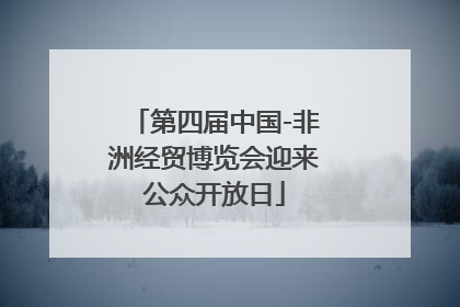 第四届中国-非洲经贸博览会迎来公众开放日