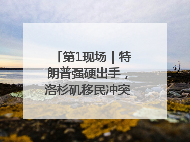 第1现场｜特朗普强硬出手，洛杉矶移民冲突如何破局